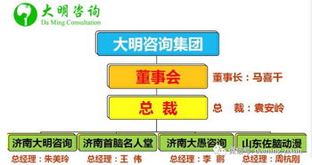 大明咨詢集團(tuán)正式成立 引領(lǐng)保險(xiǎn)咨詢服務(wù)新篇章